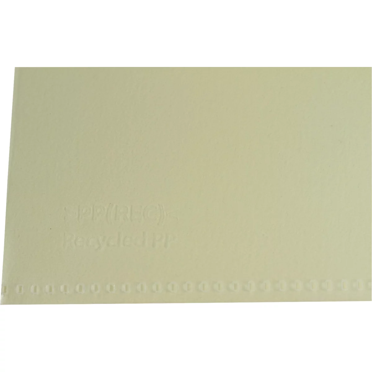 Exacompta Sichthüllen Forever, für DIN A4, Recycling-Polypropylen, 120µ, genarbt, transparent, 100 Stück