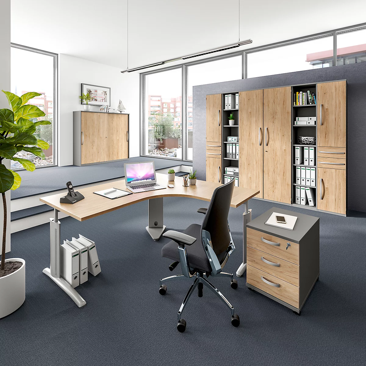 Office with height-adjustable desk, chair, cabinets and plant. Bright interior.