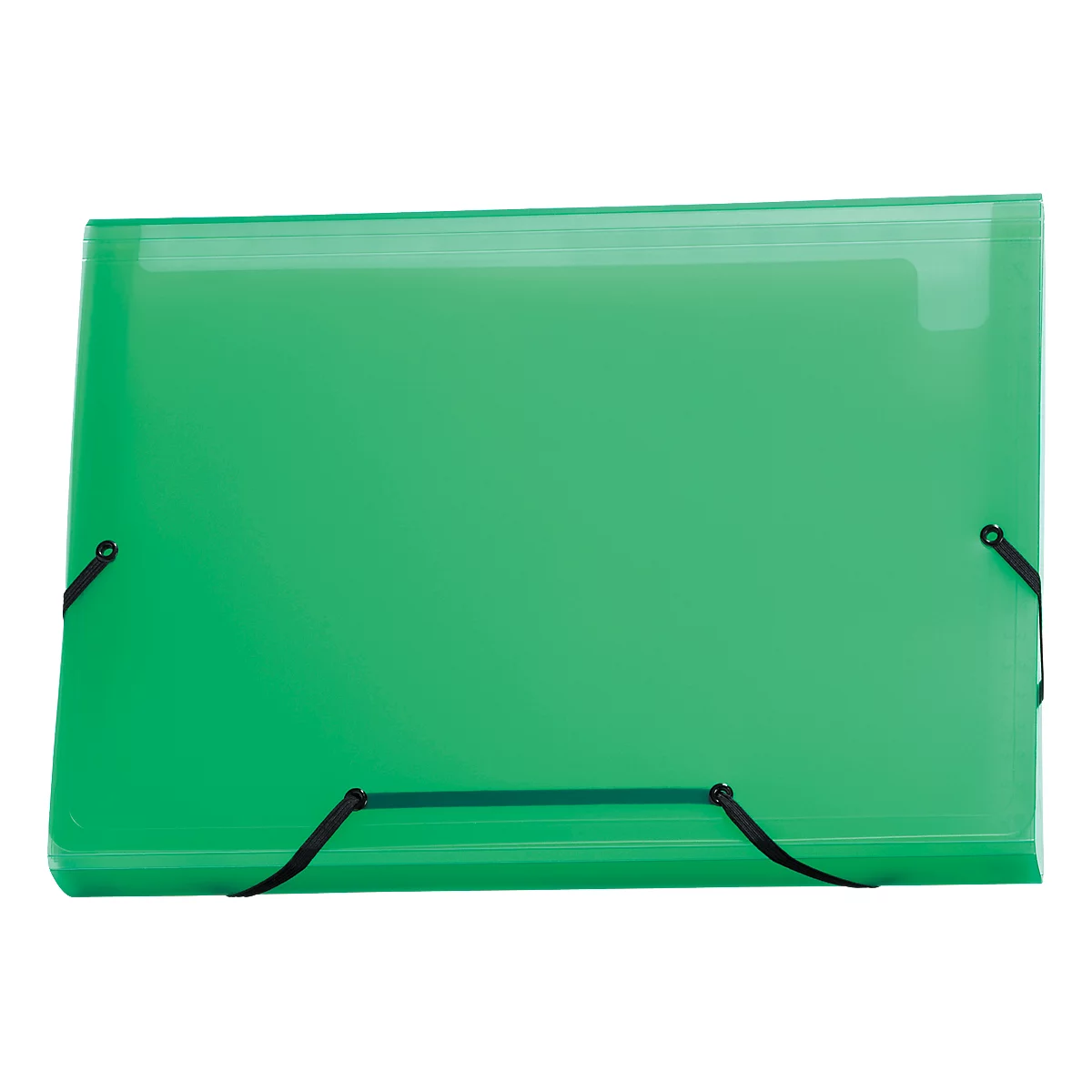 Fächermappe Kolma Daily Easy, A4, KolmaFlex, 13-teilig, grün