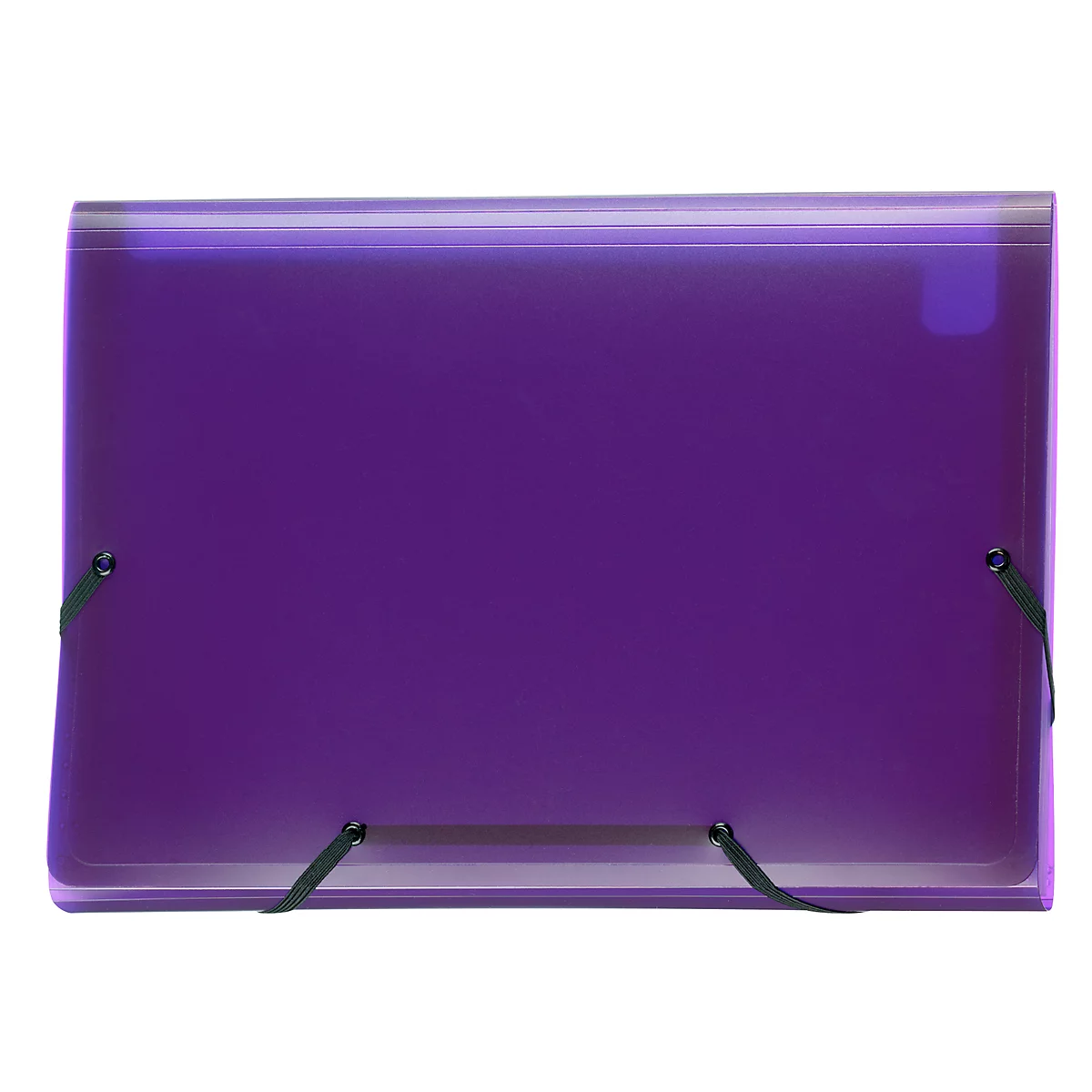 Fächermappe Kolma Daily Easy, A4, KolmaFlex, 13-teilig, violett