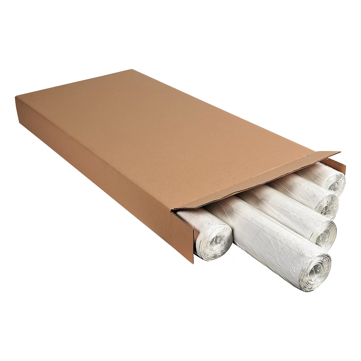 Flipchart Papier Exacompta, B 650 x H 1000 mm, blanko, Blauer Engel, Recyclingpapier, 80 g/m², weiss, 5 Einzelrollen mit jeweils 20 Blatt