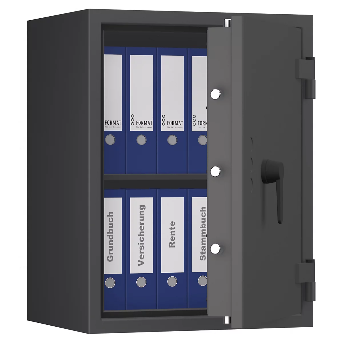 Grijze kluis, half open, gevuld met blauwe mappen. Labels zeggen: Kadaster, verzekering, pensioen, stamboek.