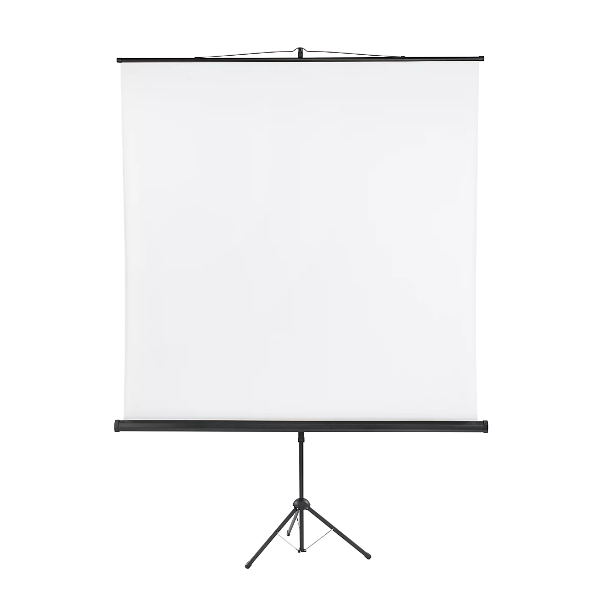 Franken Stativleinwand 2000x2000