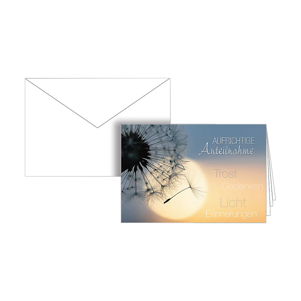 Card with dandelion image, text: Sincere condolences, consolation, remembrance, light, memories.