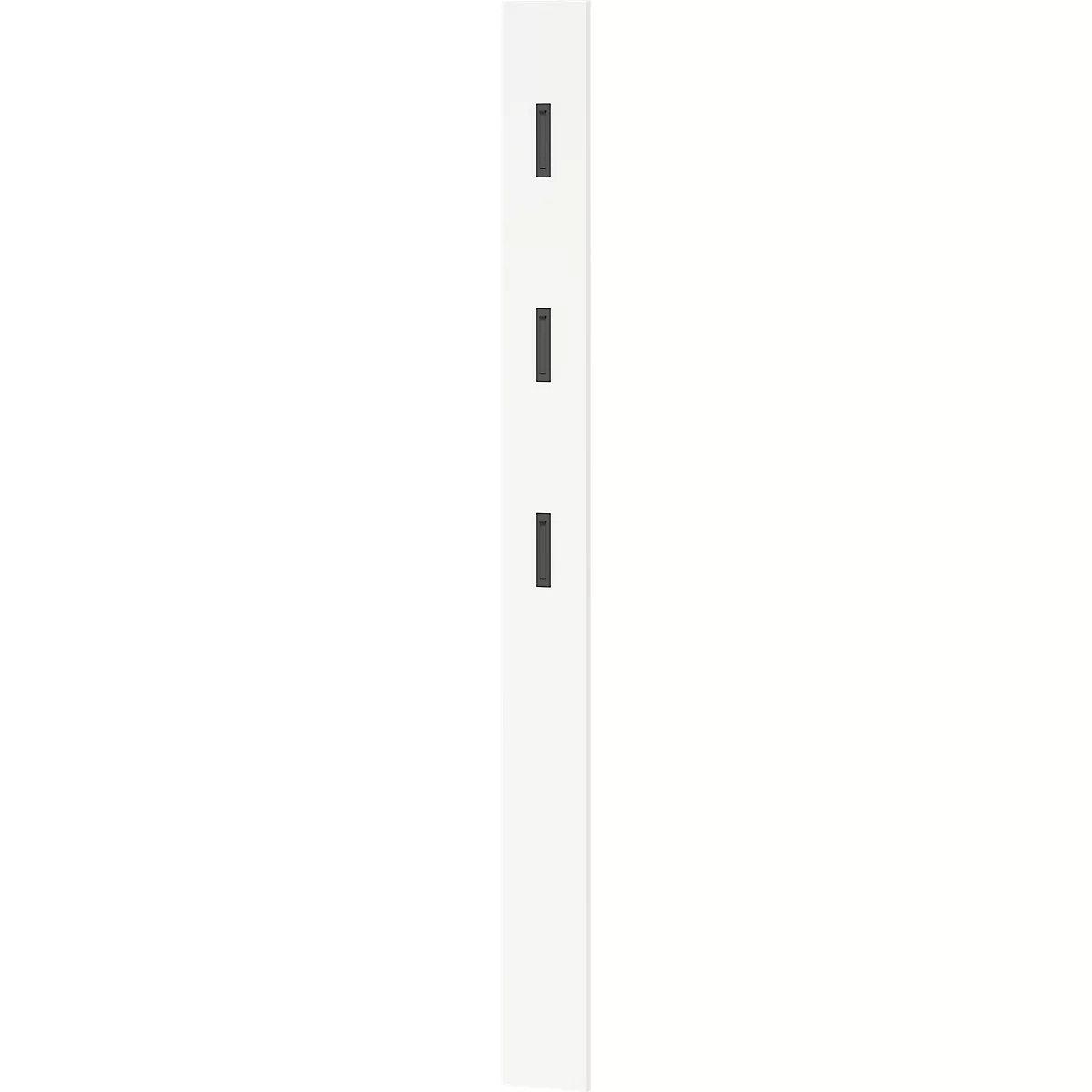 Garderobenpaneel 3728, MDF melaminharzbeschichtet, 3 ausklappbare Haken, ca. B 150 x T 30 x H 1700 mm, Weiß