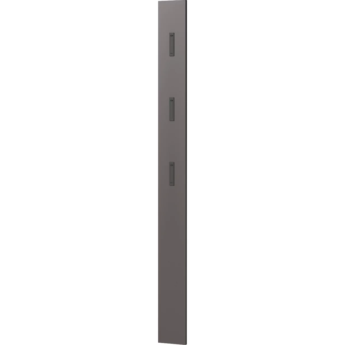 Garderobenpaneel Susanna, Wandmontage, 3 Klapphaken, bis 5 kg, B 150 x T 30 x H 1700 mm, MDF, graphit matt