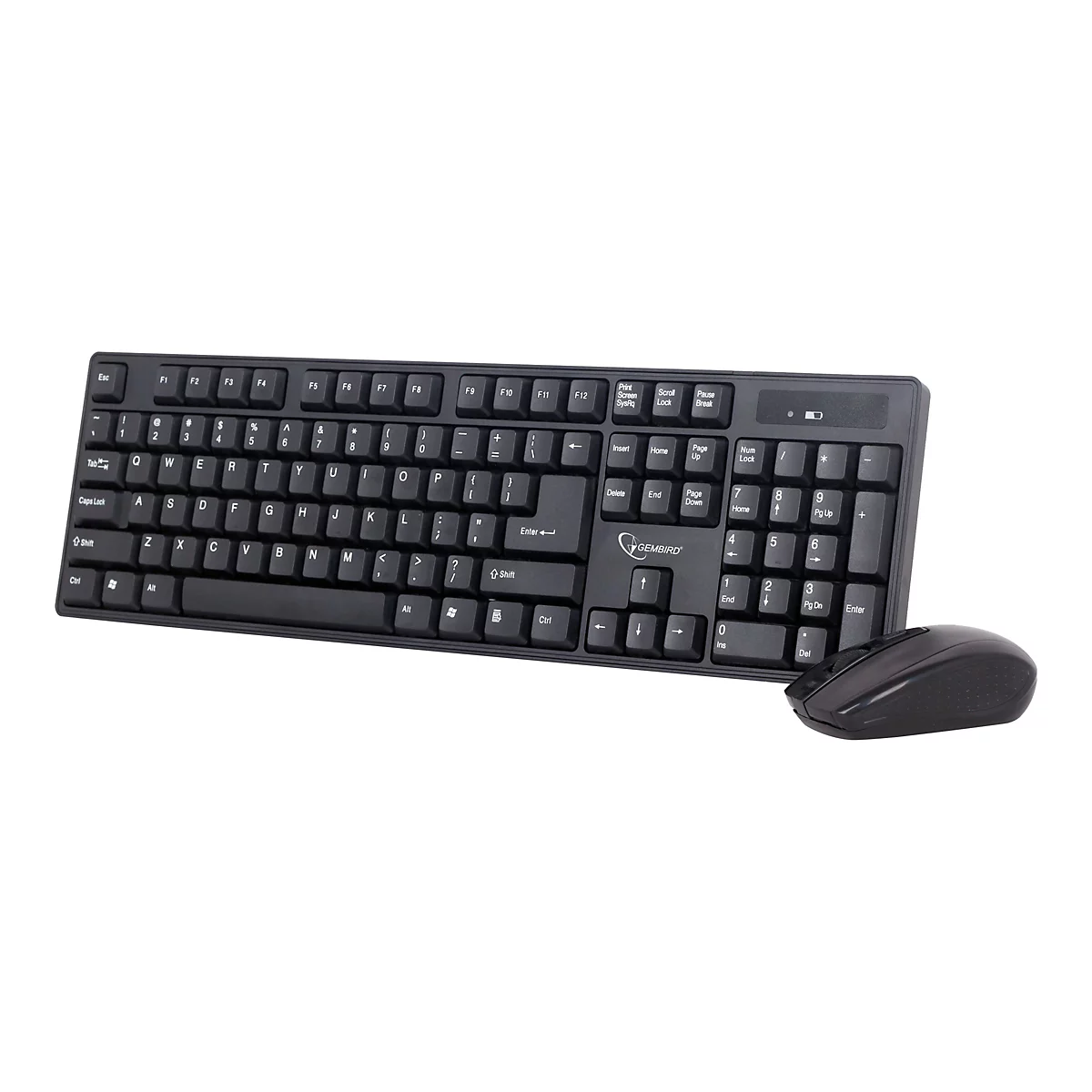 Schwarze Tastatur mit Maus, beide vor weißem Hintergrund. Die Tastatur hat weiße Beschriftungen, die Maus ist ergonomisch geformt.