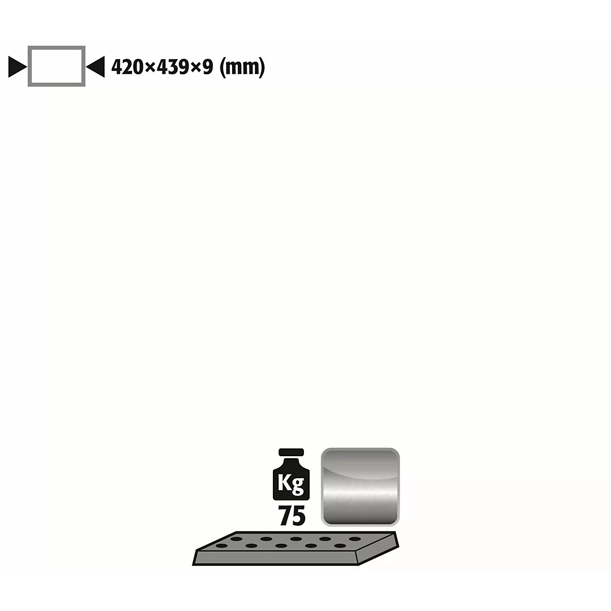 Geperforeerd plaatinzetstuk Standaard voor asecos veiligheidskasten van de series UB90 en UB30, roestvrij staal 1.4016, B 417 x D 436 x H 9 mm, tot 75 kg