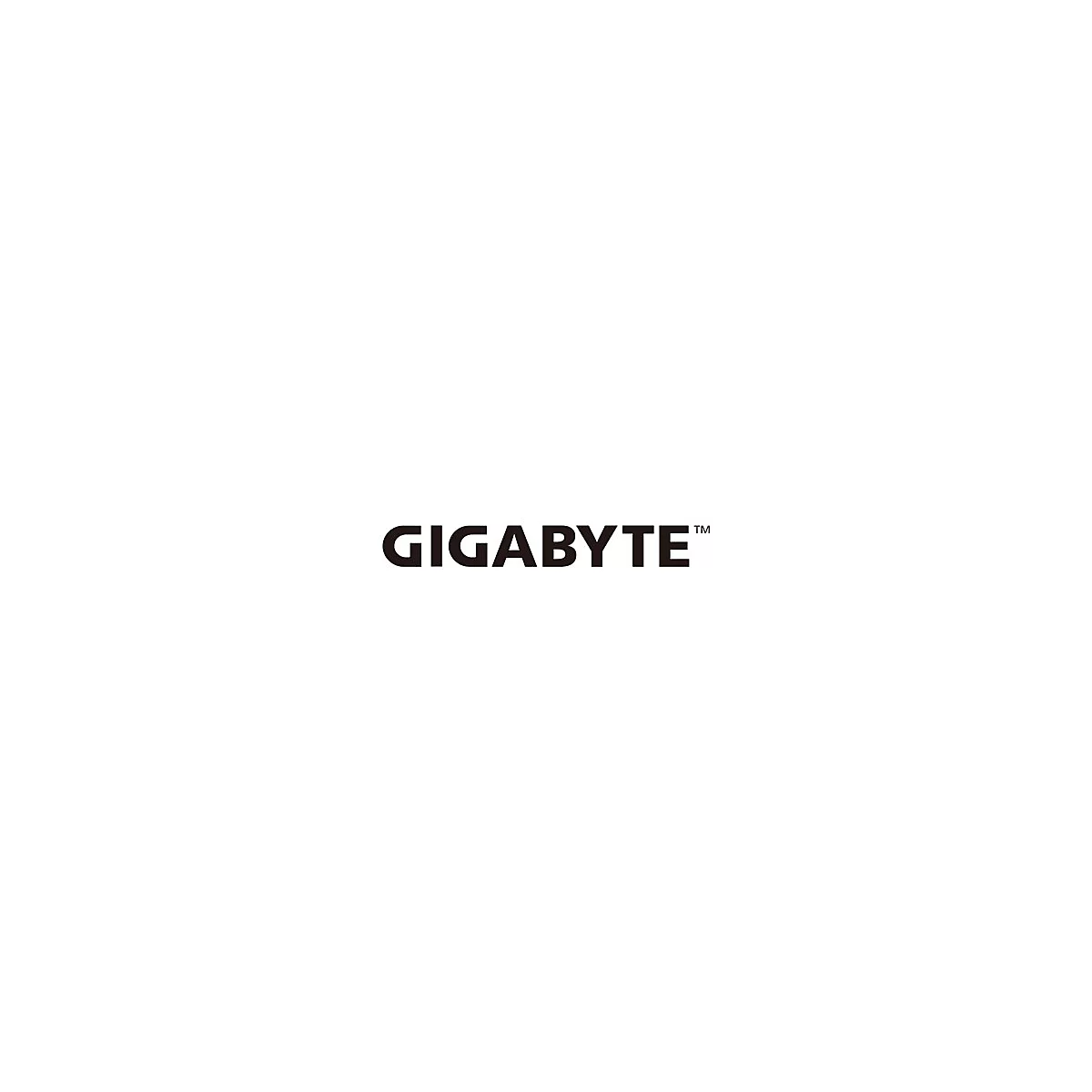 Schwarzer Gigabyte-Schriftzug auf weißem Hintergrund.