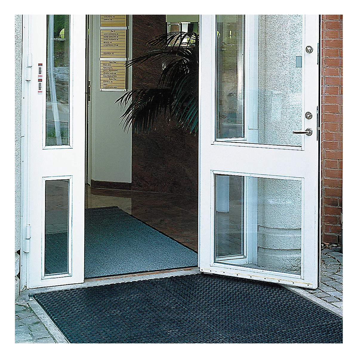 Offene weiße Eingangstür mit Glastüren. Schwarze Türmatte davor. Dahinter eine dunkelbraune Wand und eine Pflanze.