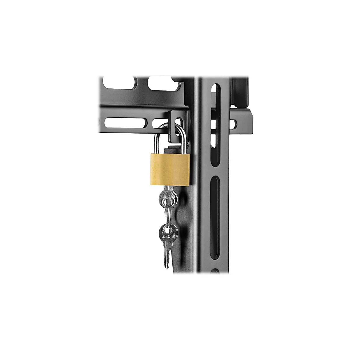 Detailaufnahme eines Vorhängeschlosses aus Messing mit Schlüsseln an einer Metallhalterung.