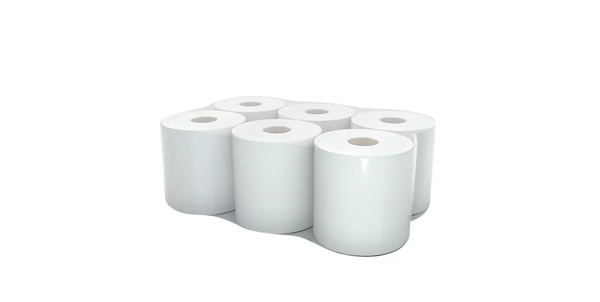 Handtuchpapier-Rolle, 2-lagig, 130 m, ZS, 200 mm breit, 6 Rollen