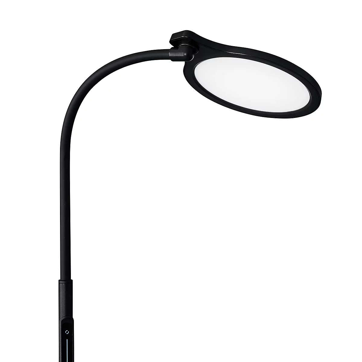 Lampe de bureau LED noire, tête de lampe ovale, bras incurvé, fond blanc.