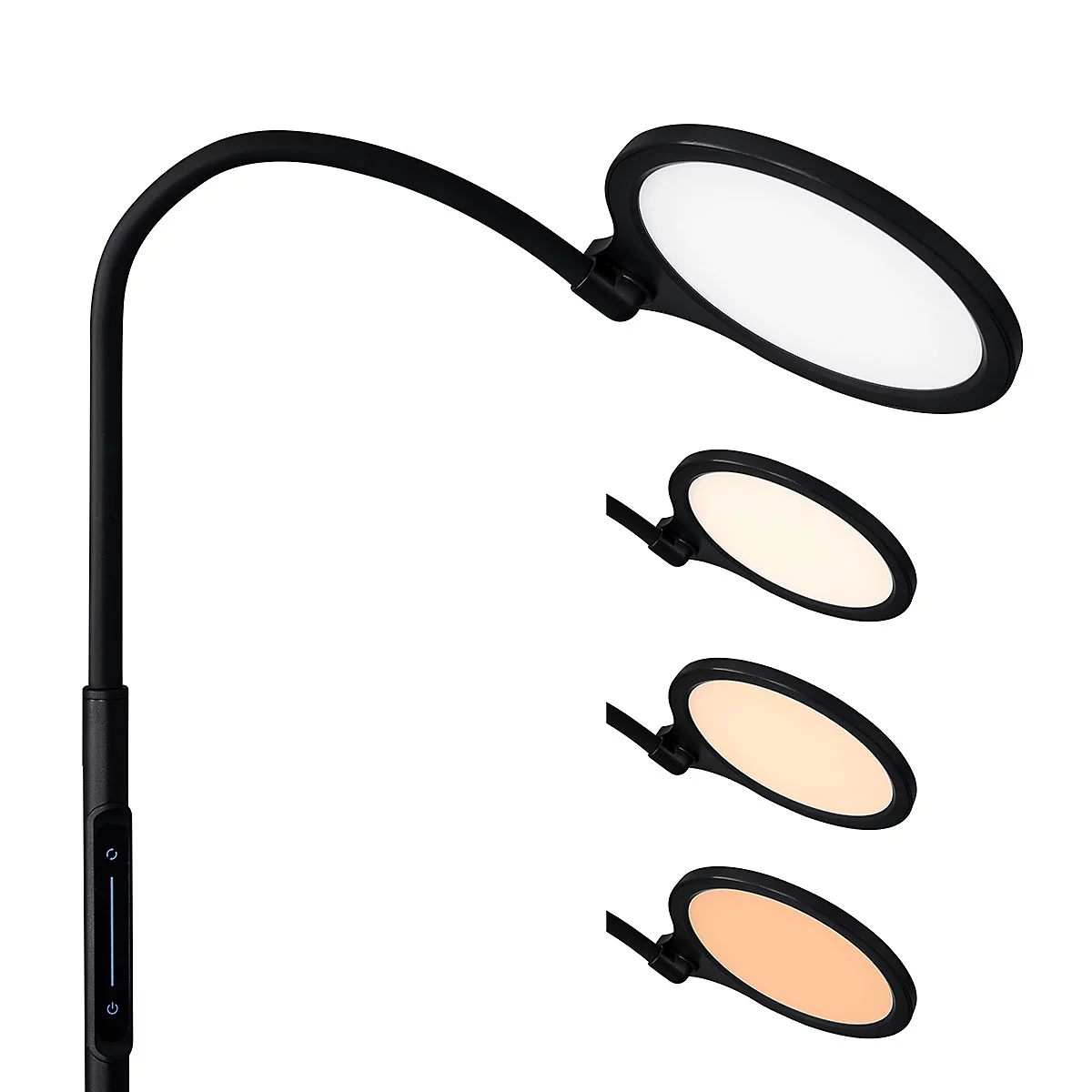 Une lampe de bureau LED noire avec une tête lumineuse ovale, présentée en quatre couleurs de lumière différentes.