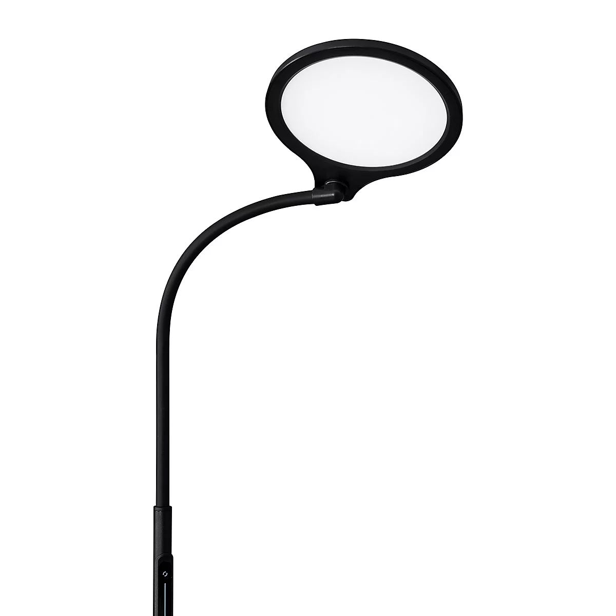 Zwarte vloerlamp met ronde lichtkop, wit licht, slanke arm, op een witte achtergrond.