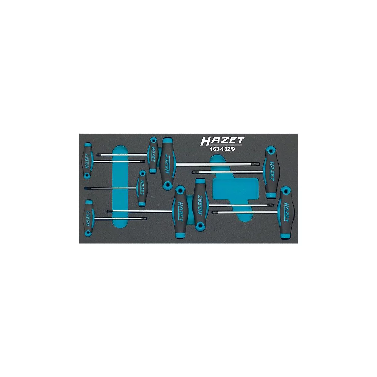 HAZET gereedschapsmodule 163-182/9, 9-delig, schroevendraaierset sterprofiel T6-T30, B 342 x D 172 mm