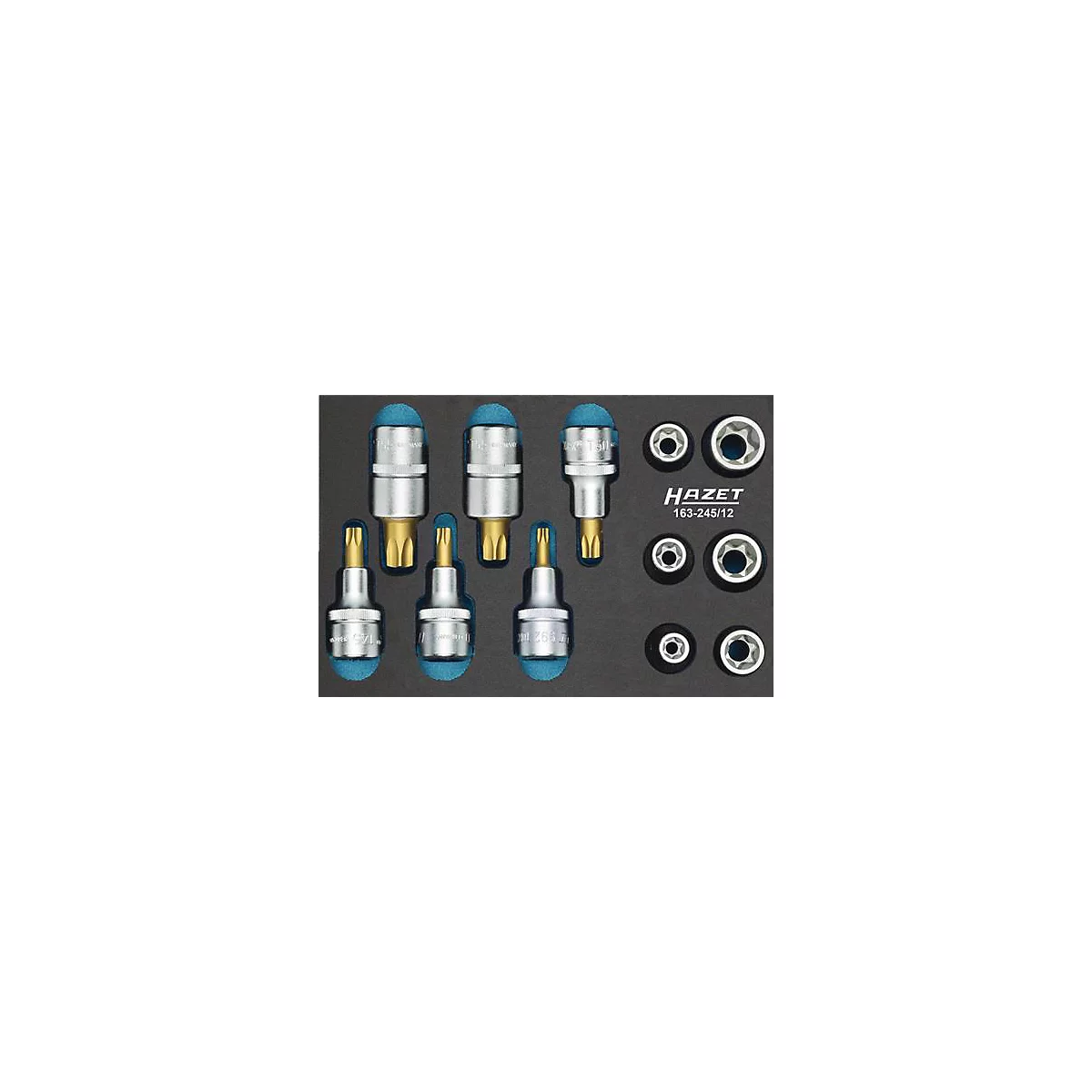 Hazet Werkzeugeinlage 163-245/12, 1/9 Modul, inkl. Werkzeugsortiment, 12-tlg., B 172 x T 114 x H 35 mm, Schaumstoff, schwarz/blau