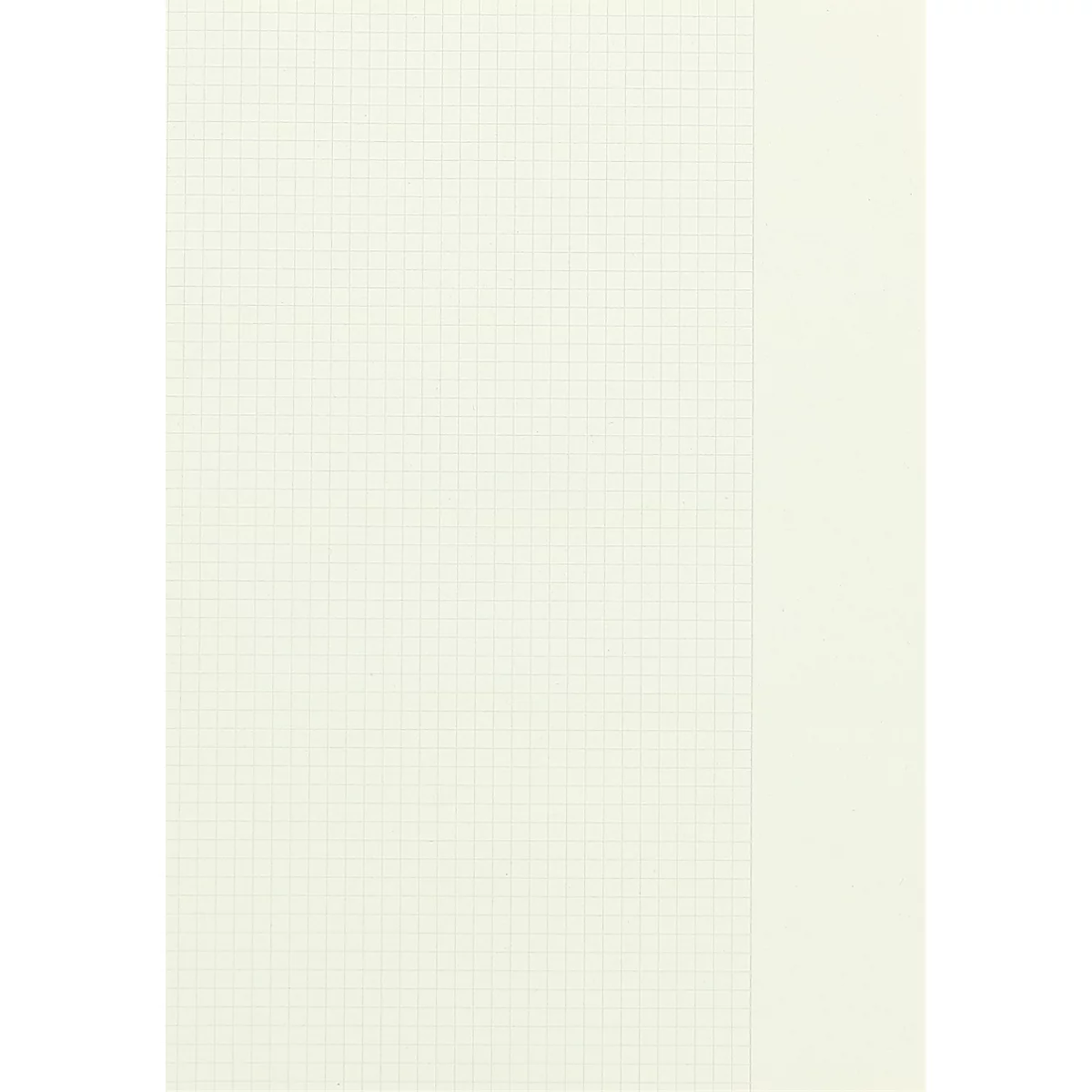 Elfenbeinweißes kariertes Notizbuch, rechte Seite ohne Raster.