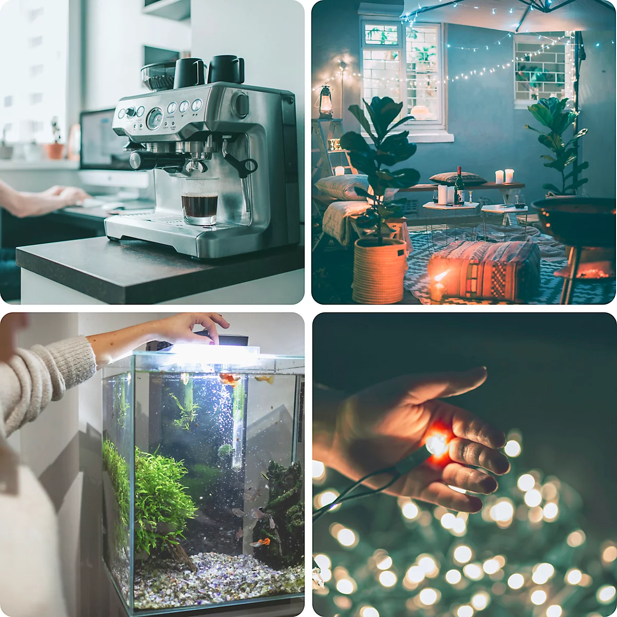 Quatre images : machine à café, salon de jardin avec guirlande lumineuse, aquarium avec poissons, main avec guirlande lumineuse.