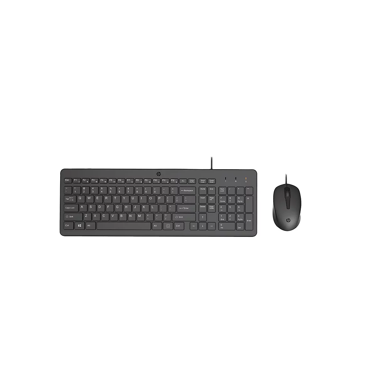 Schwarze HP-Tastatur und -Maus auf weißem Hintergrund. Die Tastatur hat ein Standard-Layout mit Beschriftungen und HP-Logo.