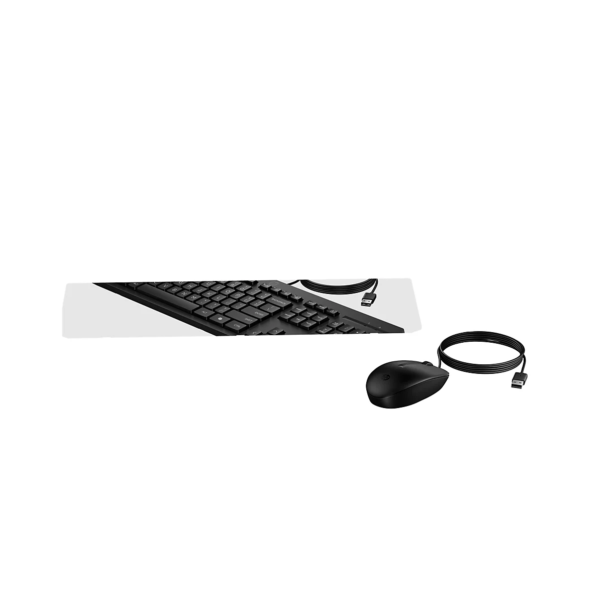 Schwarze HP Kabelmaus und Teilansicht einer schwarzen HP Tastatur vor weißem Hintergrund.