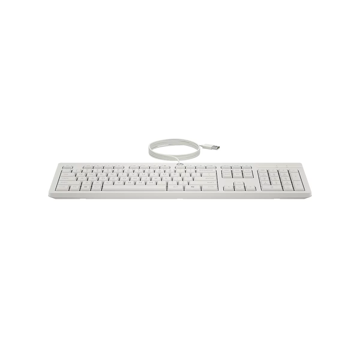 Hellgraue Tastatur mit Kabel, vor weißem Hintergrund. Schwarze Buchstaben, Ziffern und Symbole auf den Tasten.