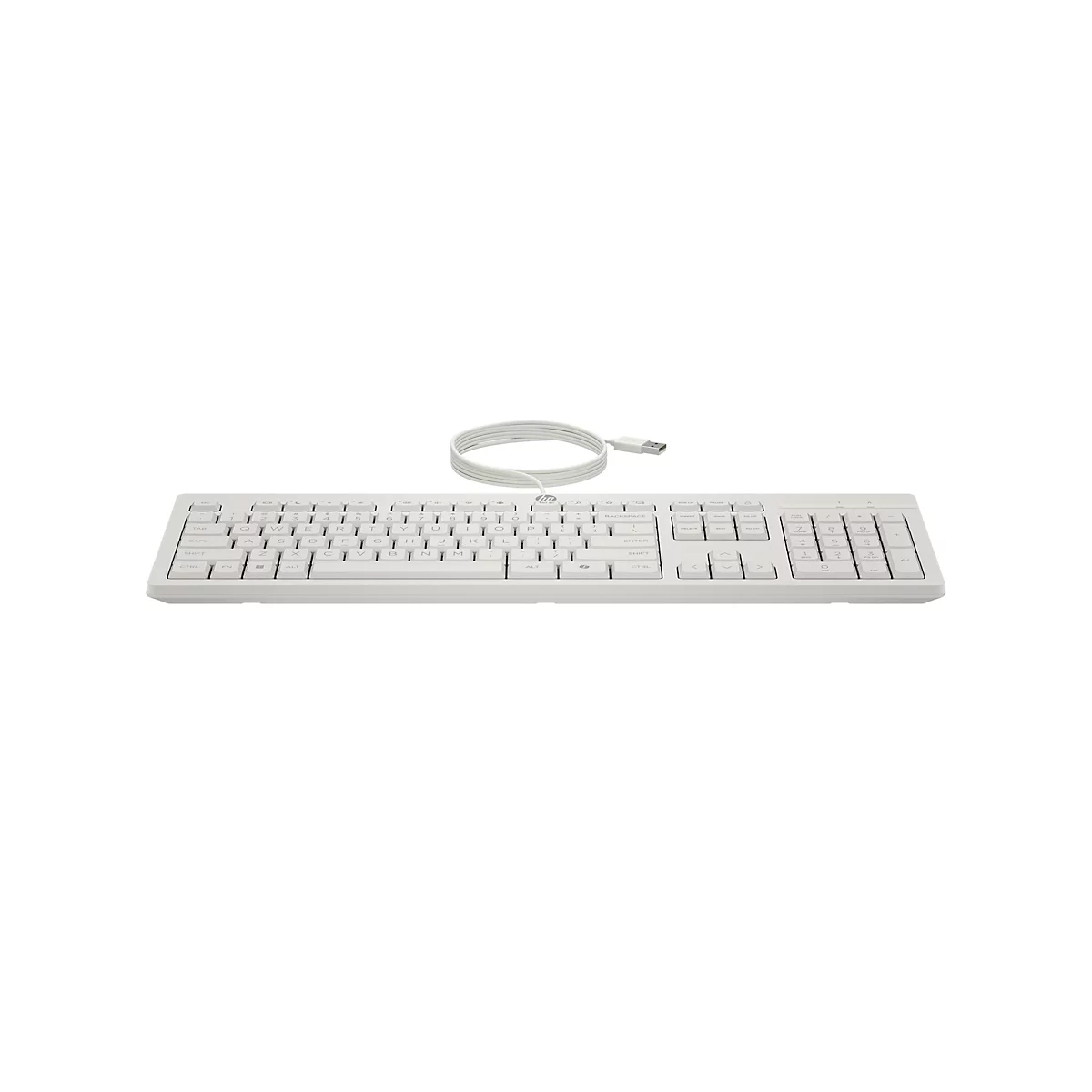 Hellgraue HP-Tastatur mit Kabel und USB-Anschluss, auf weißem Hintergrund.