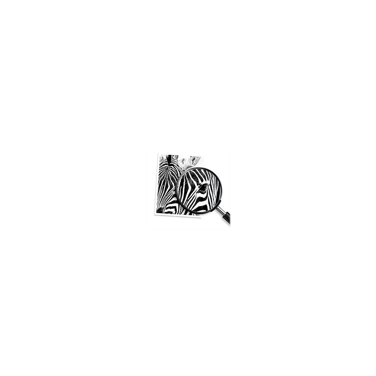 HP 305XL - Hohe Ergiebigkeit - pigmentiertes Schwarz - original - Tintenpatrone