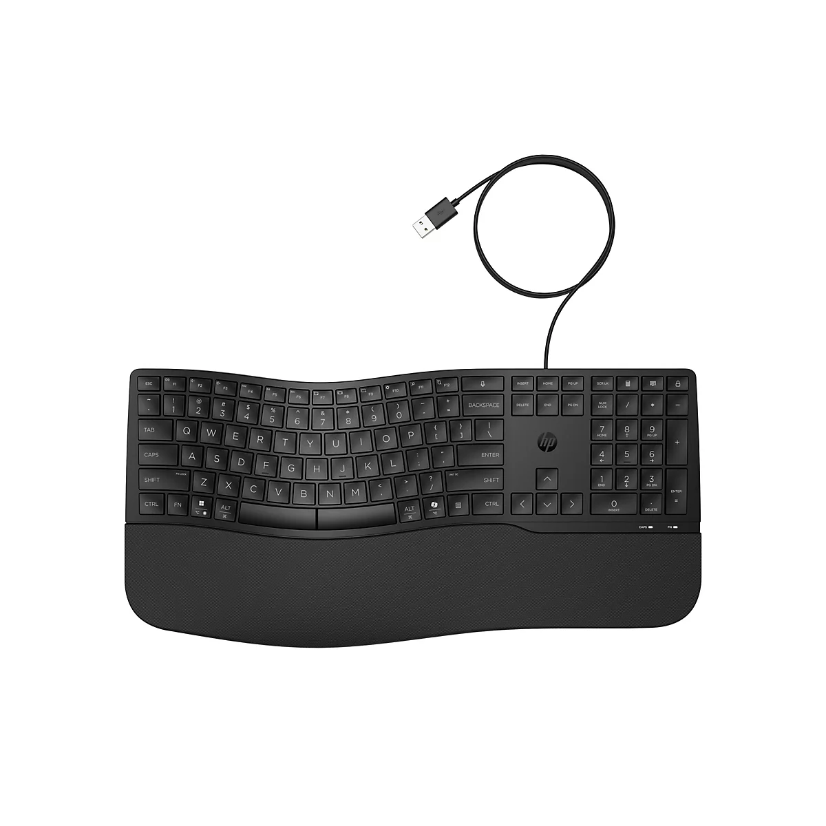 Schwarze, ergonomisch geschwungene HP Tastatur mit Handballenauflage und USB-Kabel auf weißem Hintergrund.