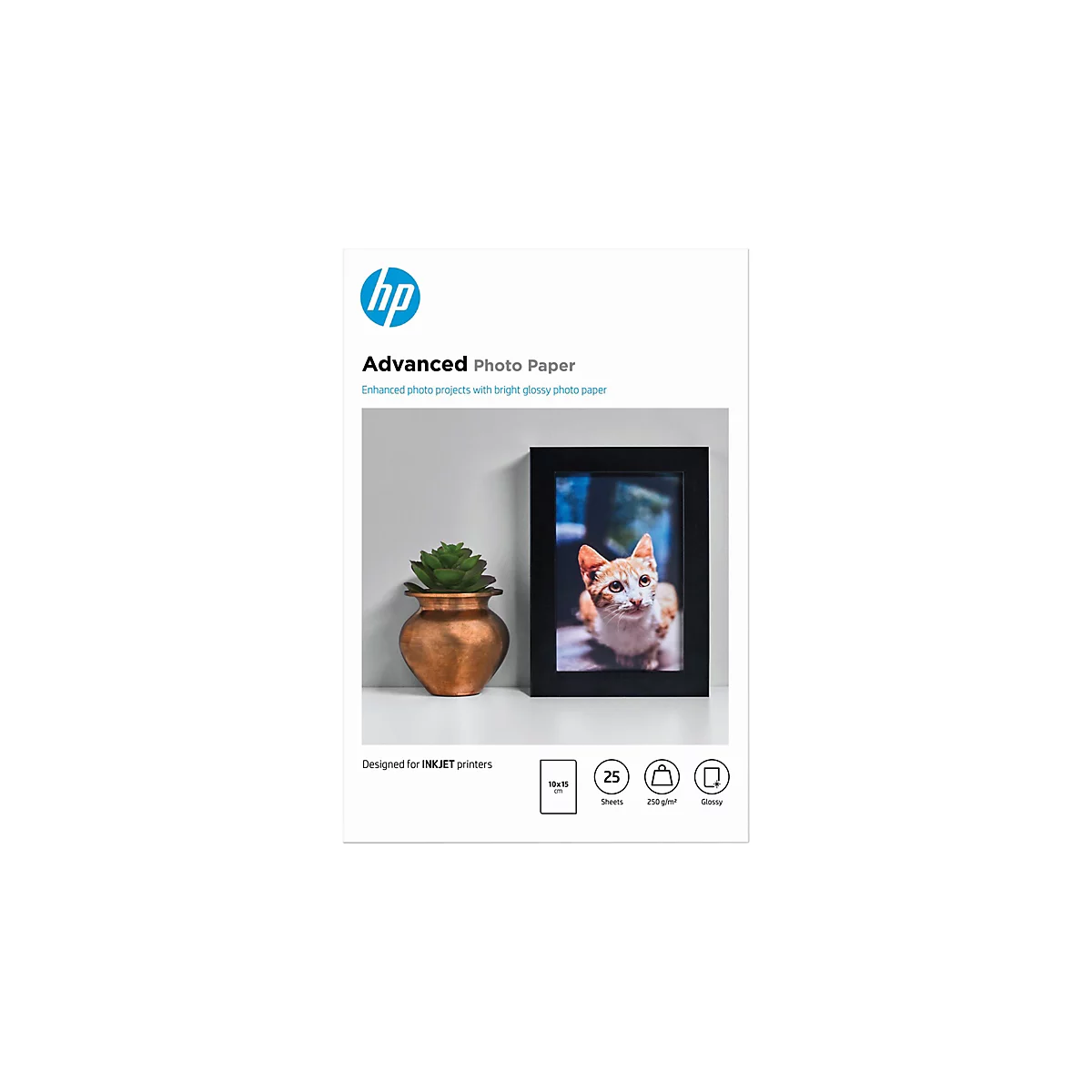 HP Advanced Fotopapier Verpackung mit Katzenbild im Rahmen und dekorativer Pflanze.