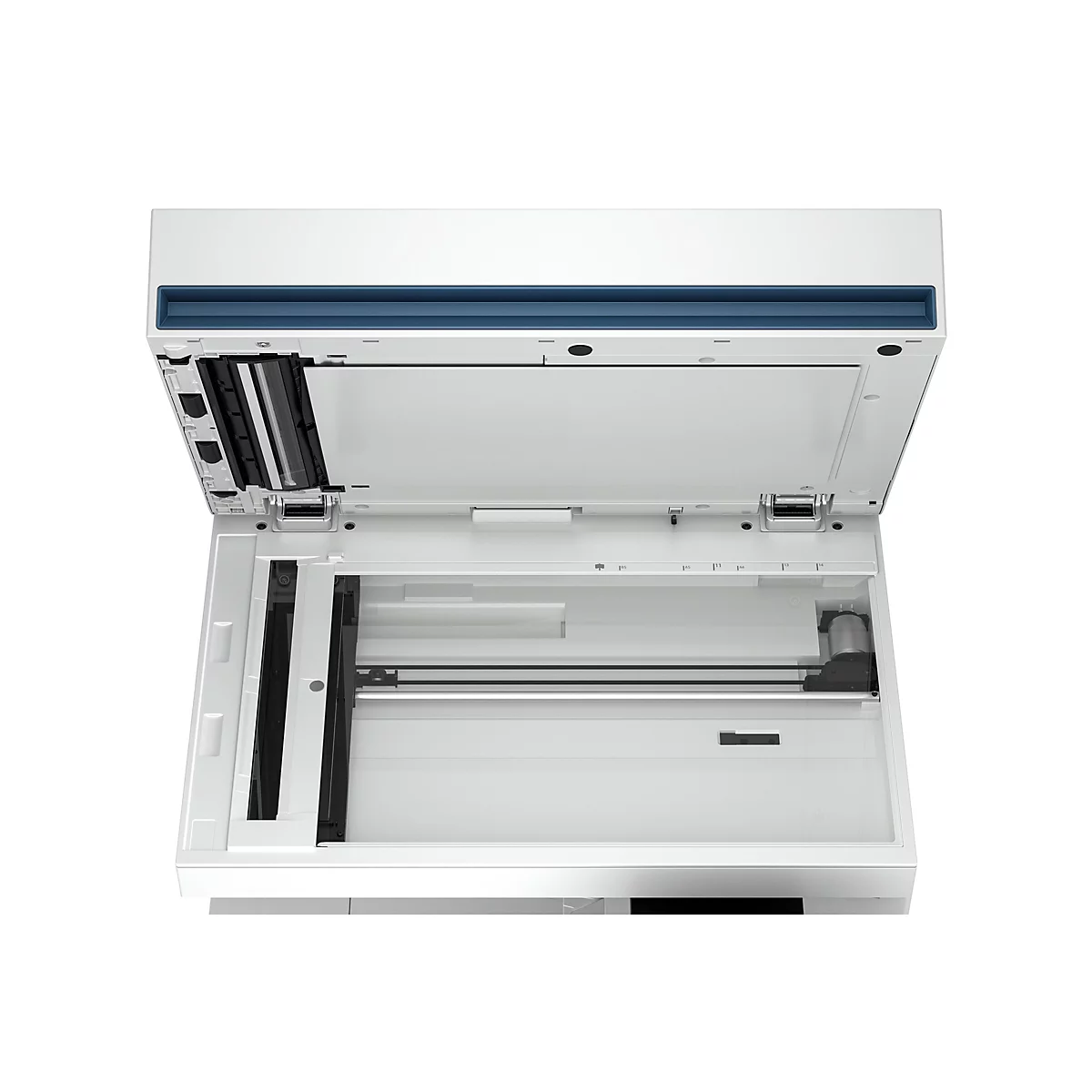 Draufsicht auf einen weißen Scanner mit geöffnetem Deckel, Details in Blau und Schwarz. Der Scanner steht vor weißem Hintergrund.