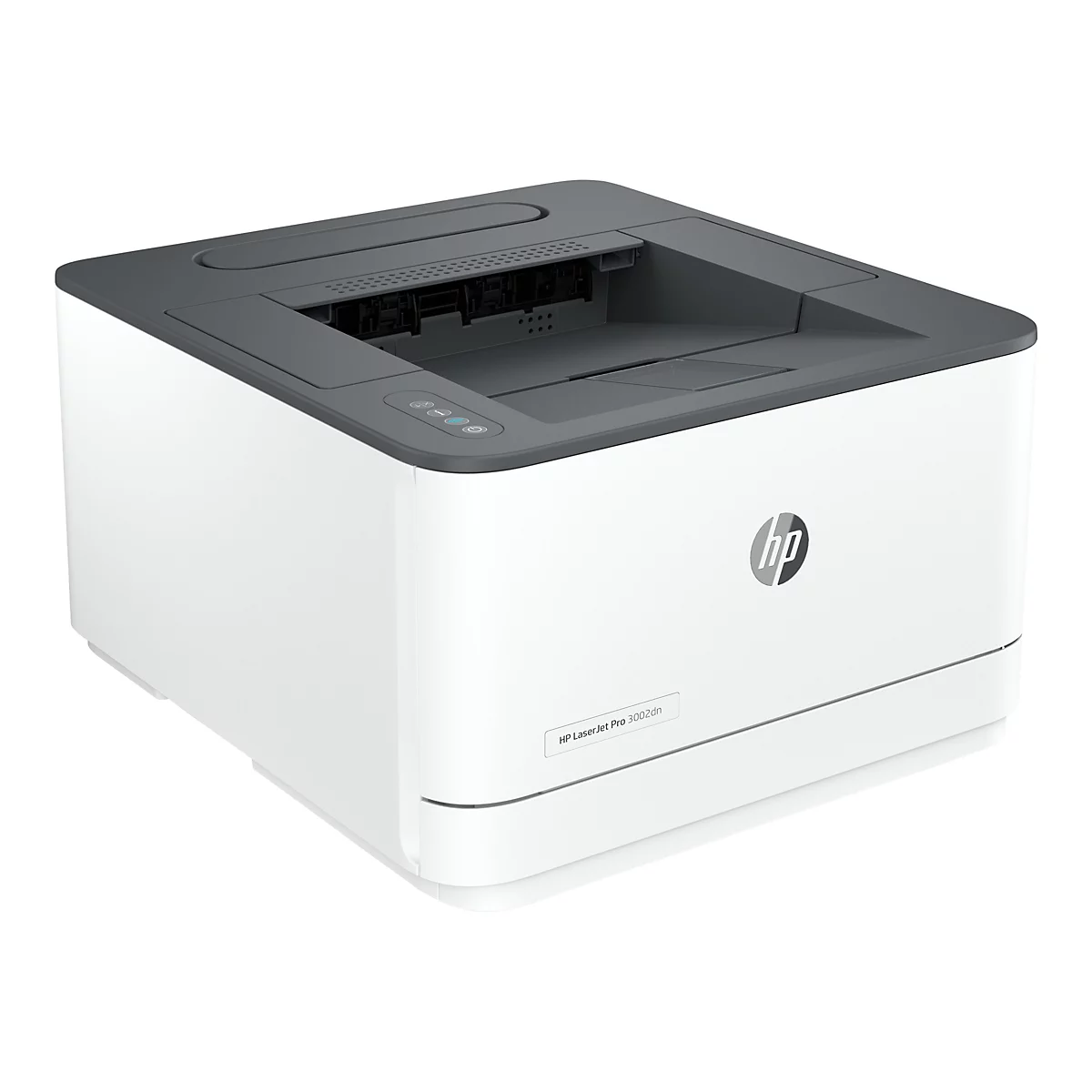 HP LaserJet Pro 3002dn - Drucker - s/w - Duplex - Laser - A4/Legal