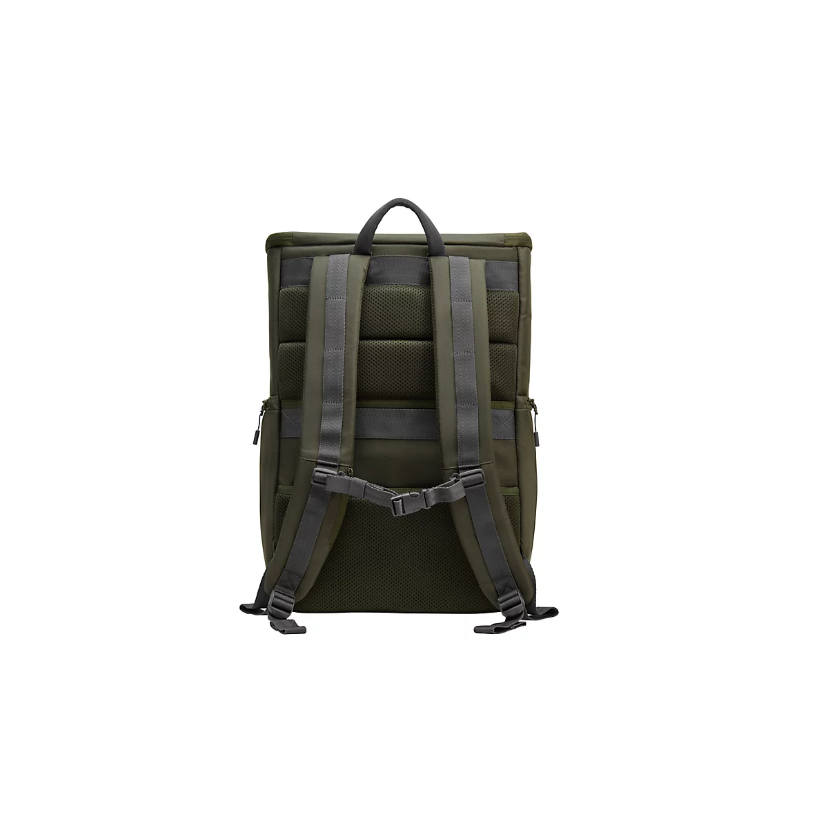 Olivgrüner Rucksack von hinten, mit gepolsterten Trägern, Brustgurt und Mesh-Rückenpolsterung.