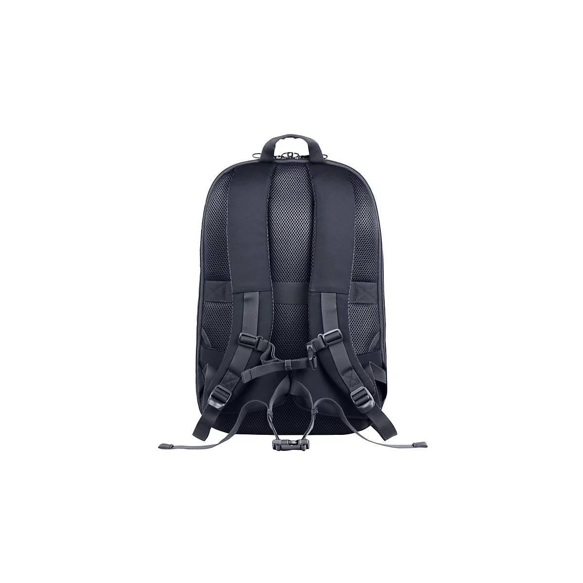 Schwarzer Rucksack von hinten, mit gepolsterter Rückseite, Trägern und Gurten. Auf weißem Hintergrund.