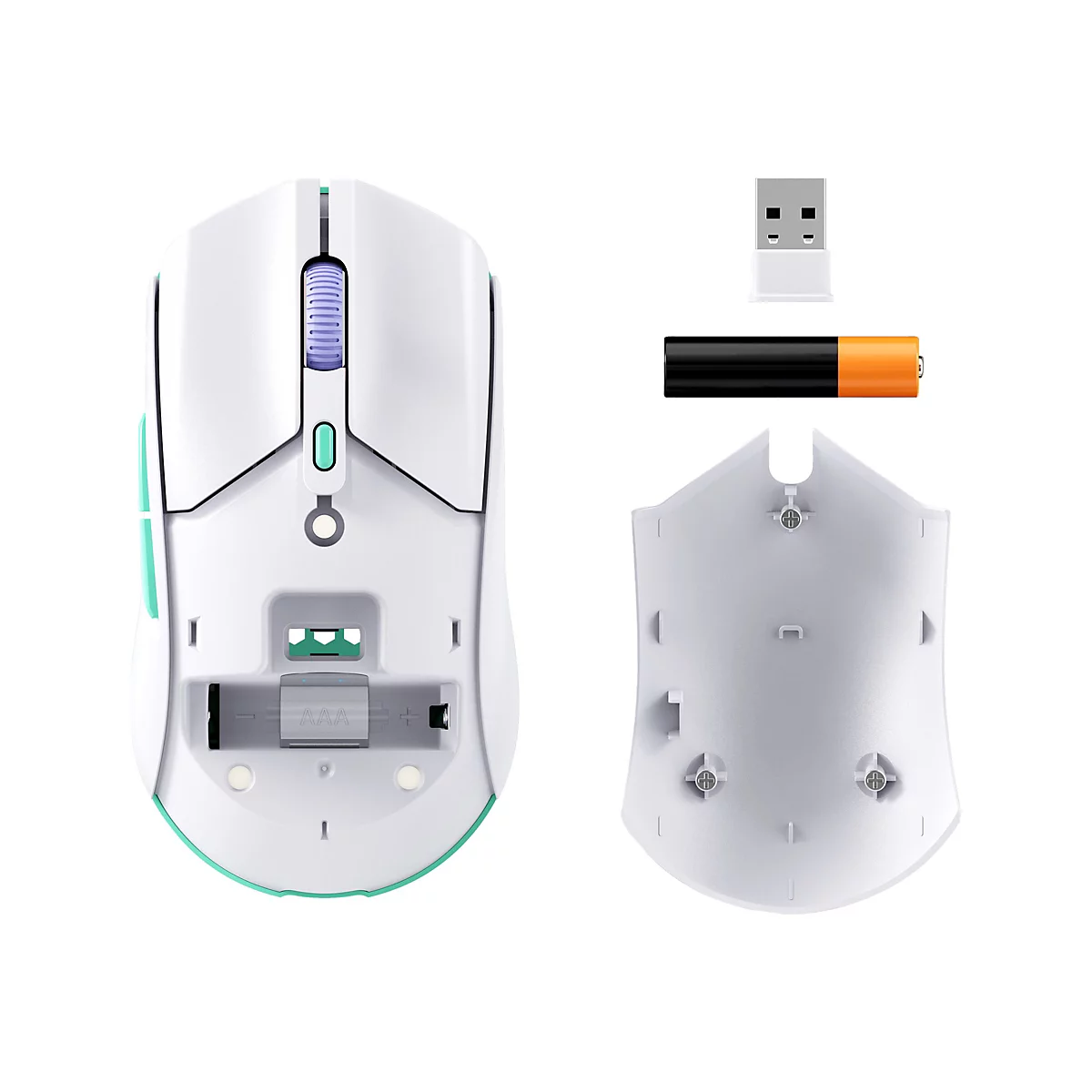 Souris blanche sans fil avec des accents vert clair et une molette de défilement violette. Sont également présentés le dessous avec compartiment à piles et une pile AAA.