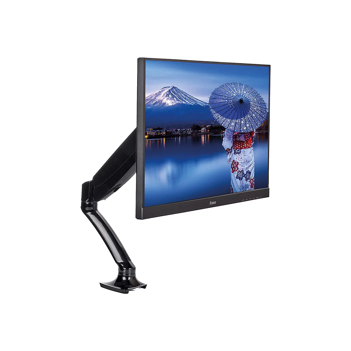 Iiyama DS3001C-B1 - Befestigungskit - einstellbarer Arm - für Monitor - Schwarz