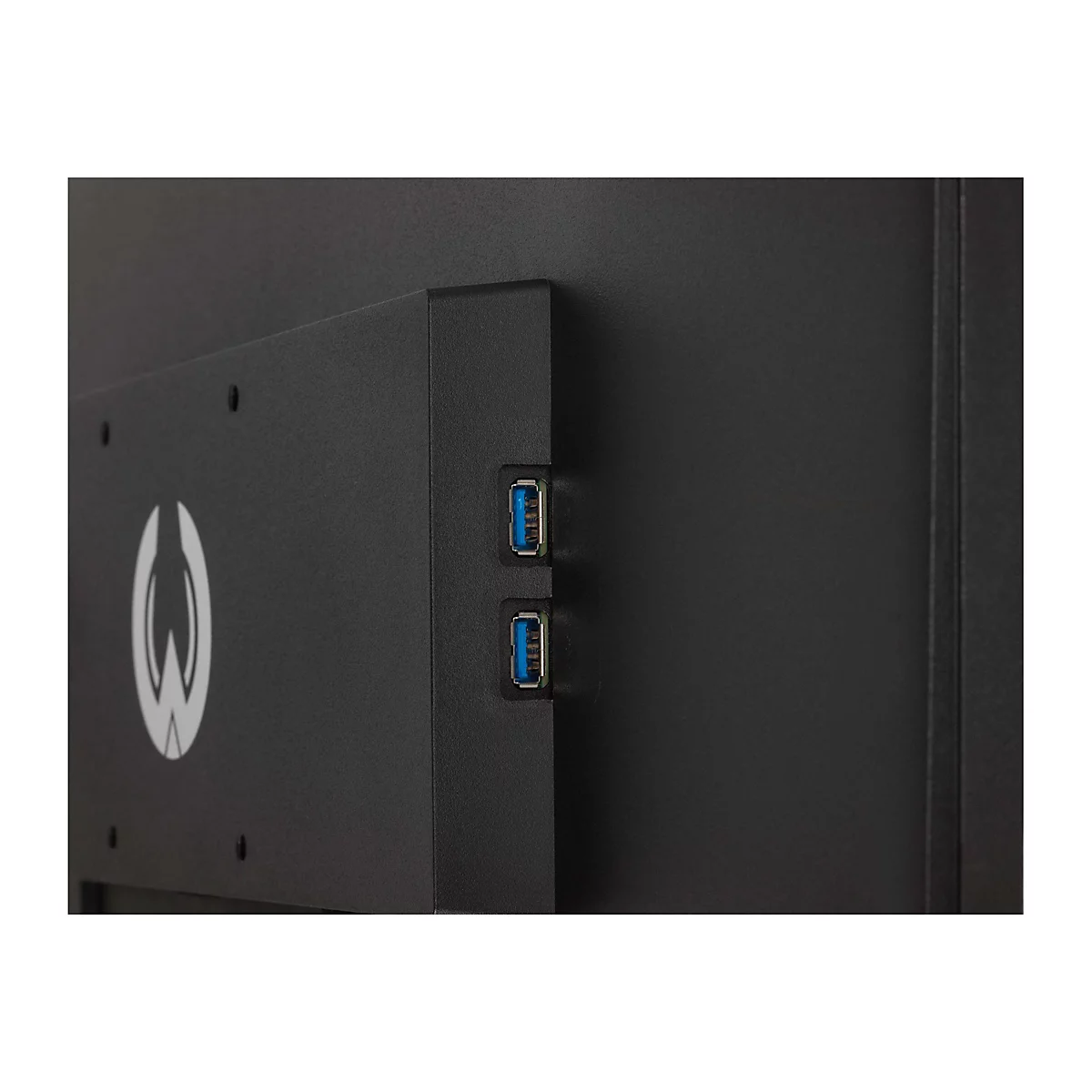 Nahaufnahme der Rückseite eines schwarzen Monitors. Zwei USB-Anschlüsse mit blauem Innenleben sind zu sehen.