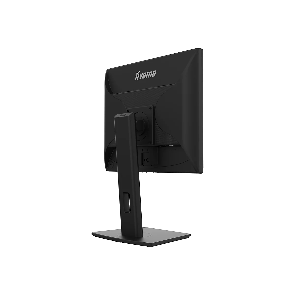 iiyama ProLite B1980D-B5 - LED-Monitor - 48 cm (19') - 1280 x 1024 @ 60 Hz - TN - 250 cd/m²