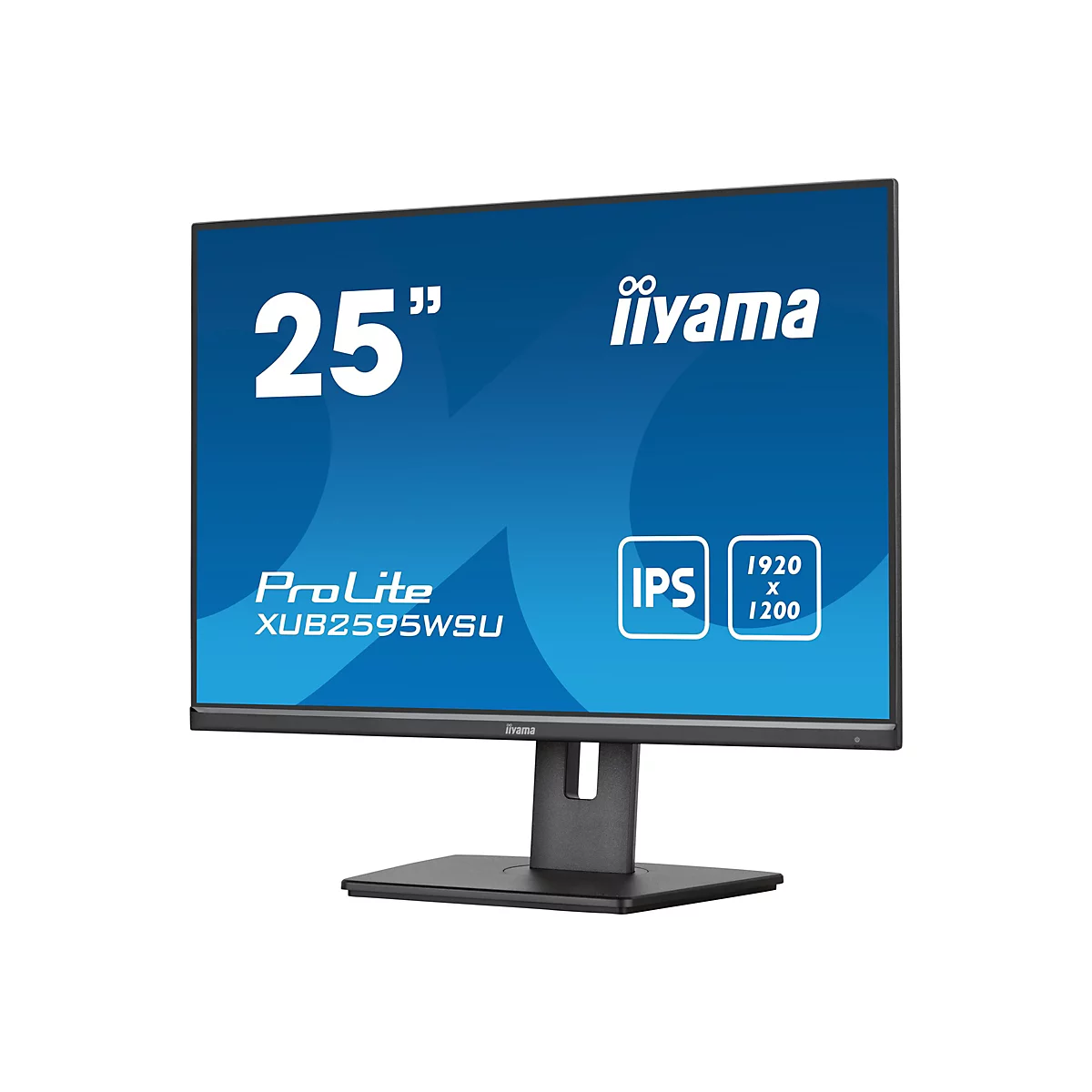 Schwarzer iiyama ProLite Monitor mit 25 Zoll Bildschirm. Aufschrift: IPS, 1920x1200.