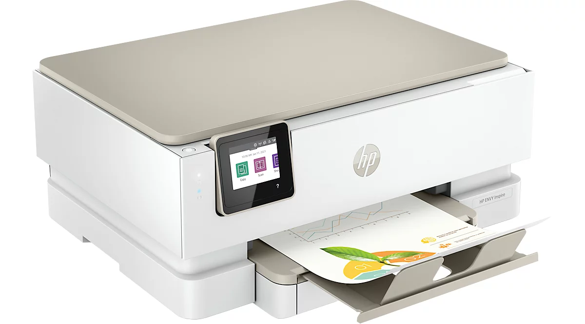 Imprimante multifonction jet d'encre HP ENVY Inspire 7220e, N&B/couleur ...