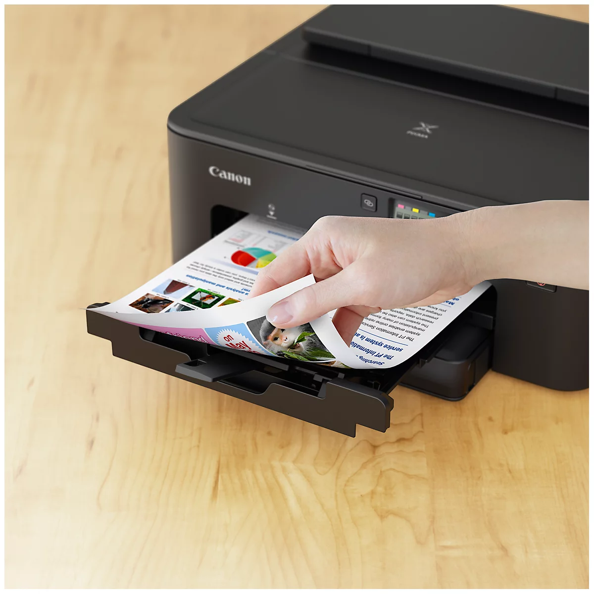 Inkjetprinter Canon PIXMA TS705a, USB/LAN/WLAN, auto duplex/mobiel printen, tot A4, incl. 5 CMYK-cartridges, zwart