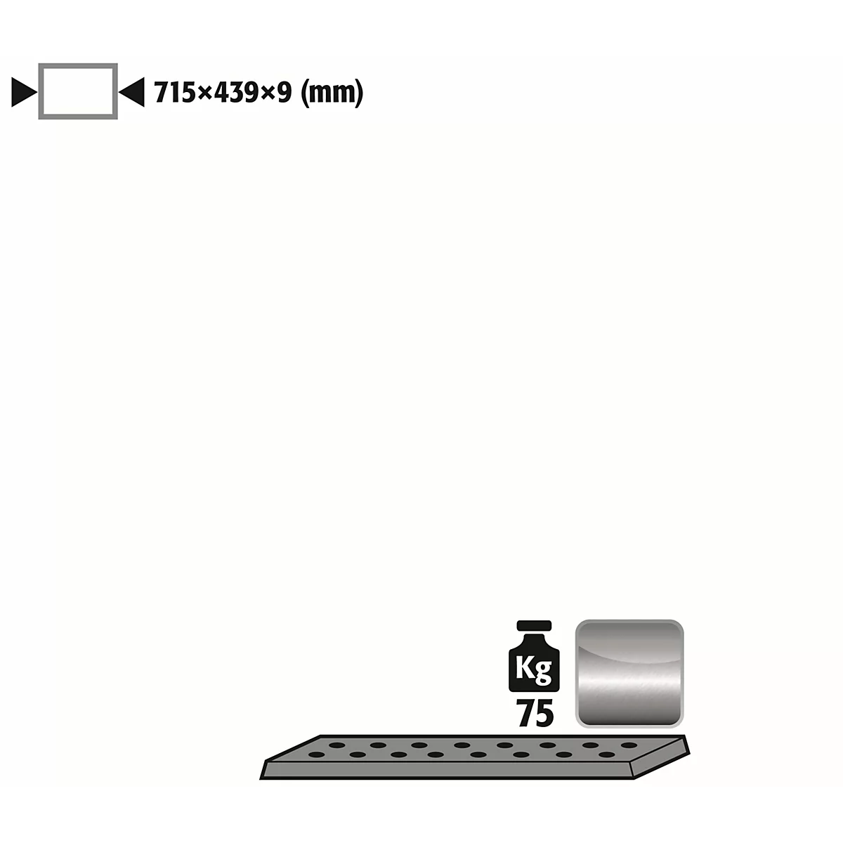 Insert en tôle perforée Norme pour les armoires de sécurité asecos des séries UB90 et UB30, acier inoxydable 1.4016, L 717 x P 436 x H 9 mm, jusqu'à 75 kg