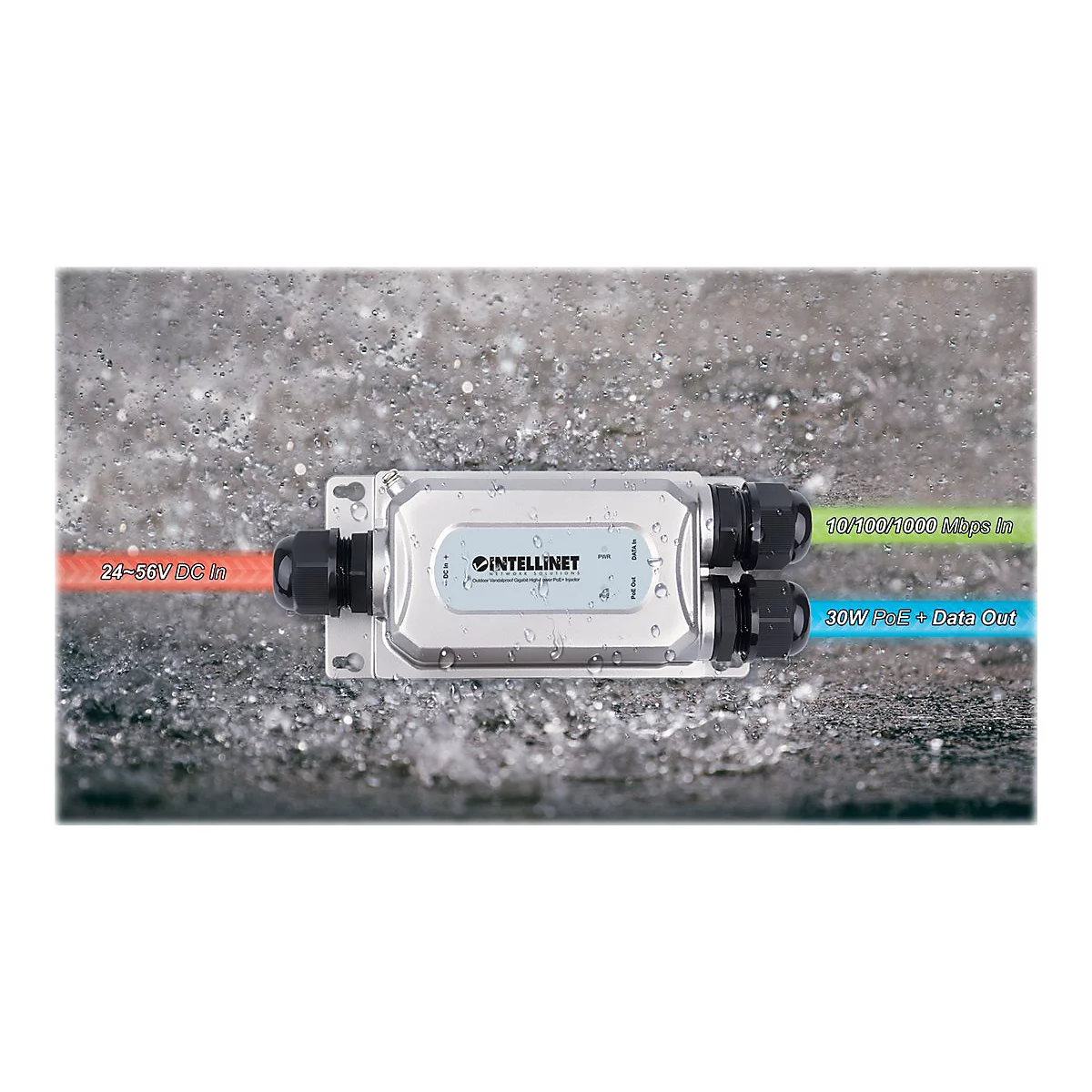 Intellinet - Power Injector - 30 Watt