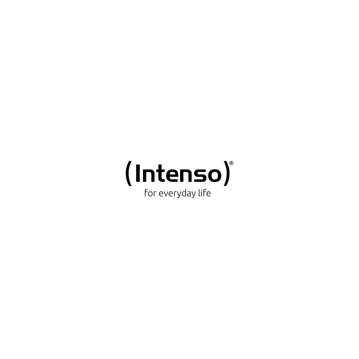 Das Intenso Logo mit dem Claim for everyday life in schwarzer Schrift auf weißem Grund.