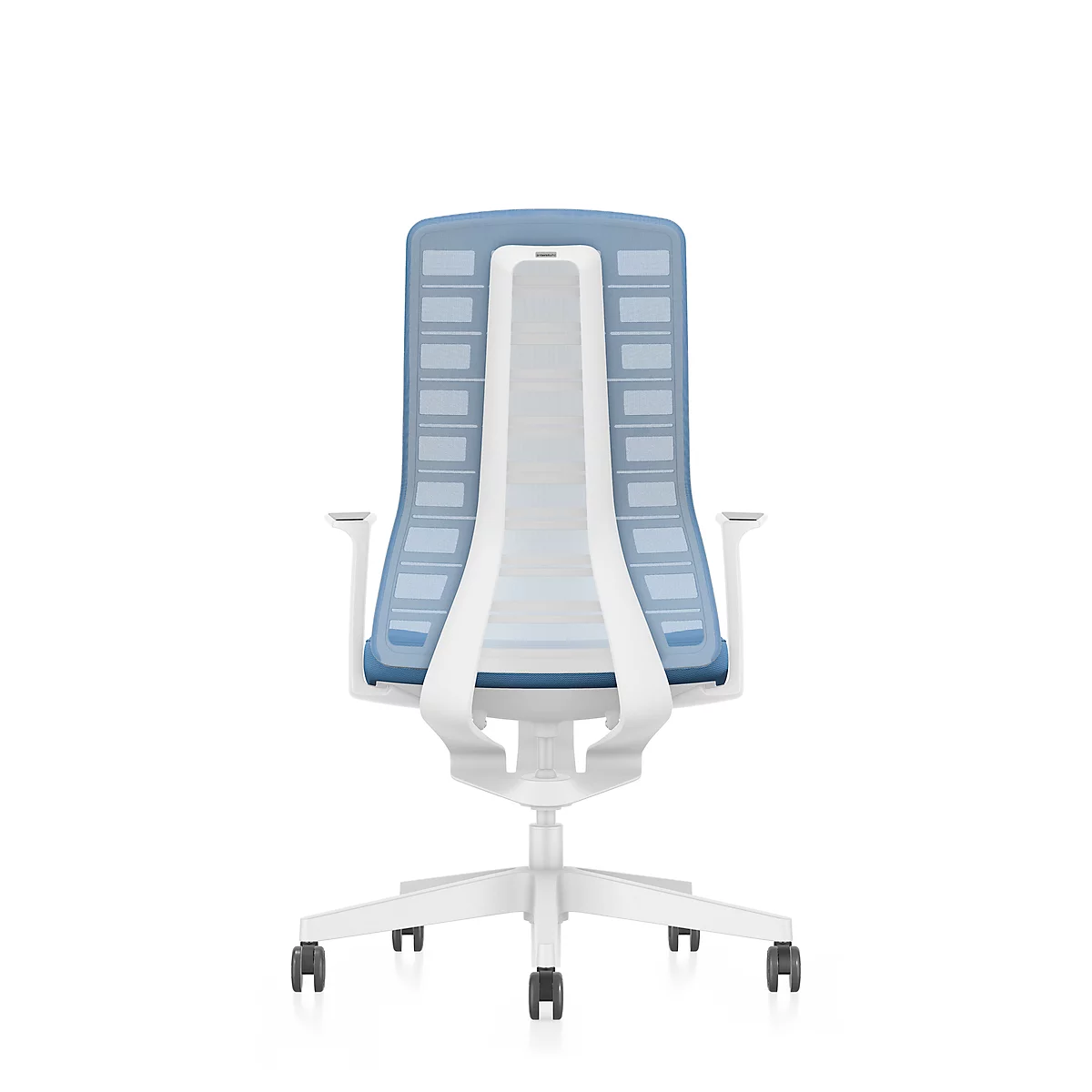 Back view of a white office chair with a blue mesh back and white armrests, set against a white background.
