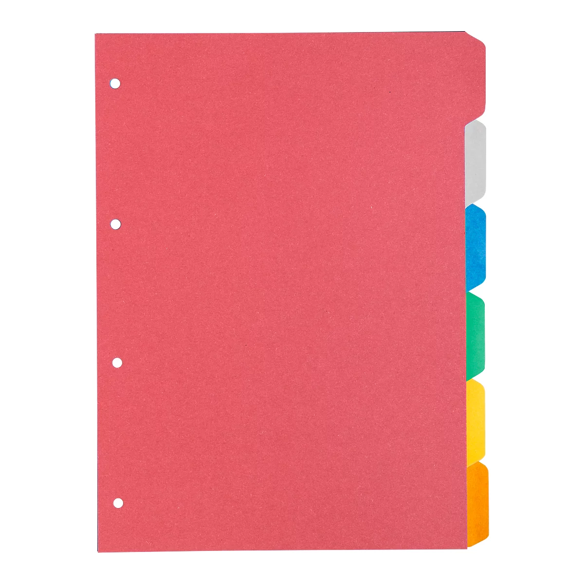 Kartonnen index Schäfer Shop Select, set van 1, 4 perforaties, 160 g/m² gerecycled karton, 6 stuks