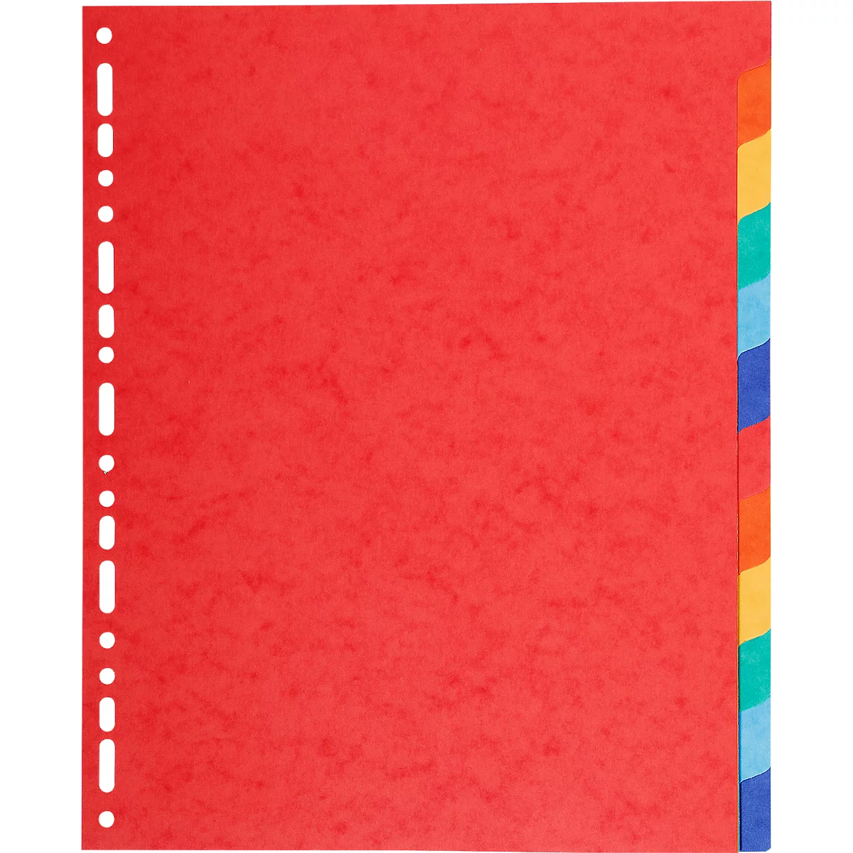 Kartonregister Biella Top Color, für DIN A4, 12tlg, L 297 x B 220 x H 5 mm, Recyclingkarton, farbsortiert