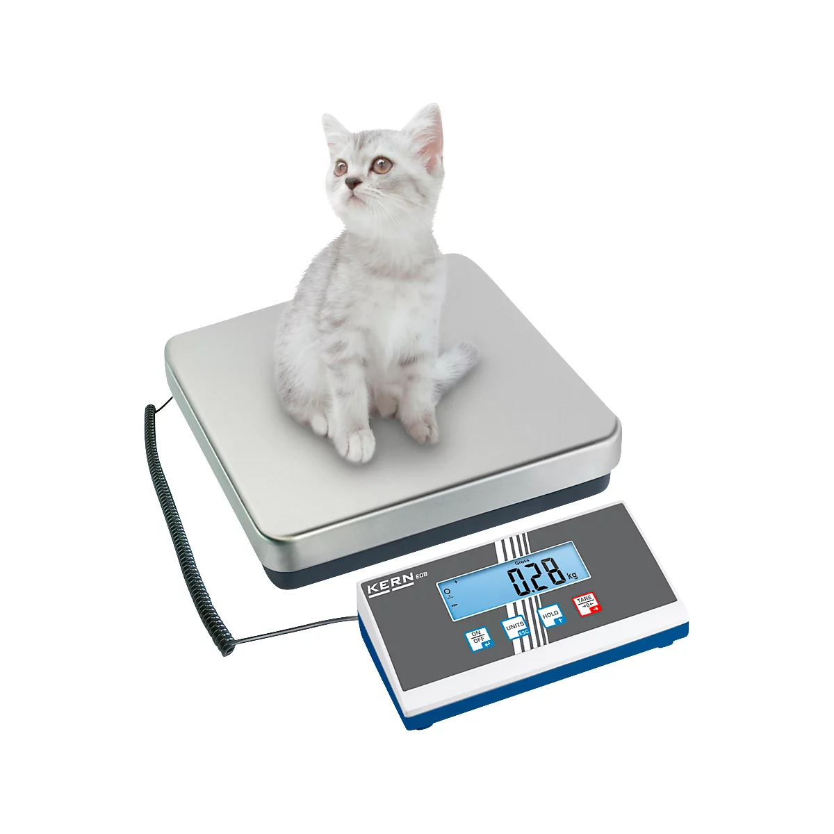 Un chat est assis sur une balance, affichant 0,28 kg. La balance a un boîtier rectangulaire avec un affichage numérique.