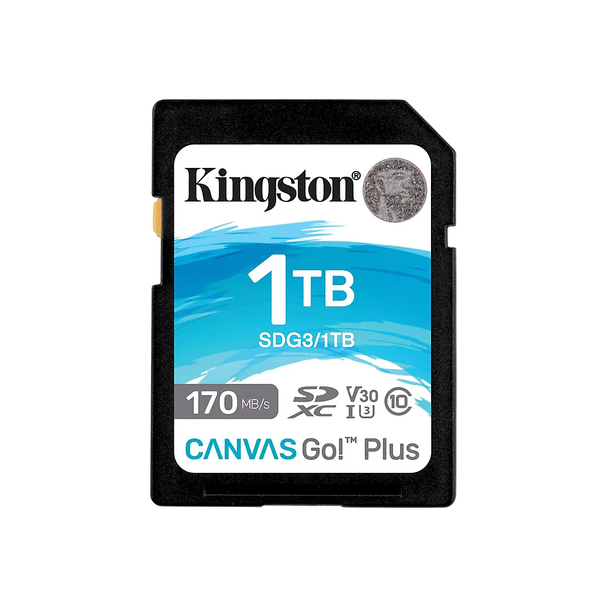 Kingston Canvas Go! Plus - Flash-Speicherkarte - 1 TB - Video Class V30 / UHS-I U3 / Class10 - SDXC UHS-I