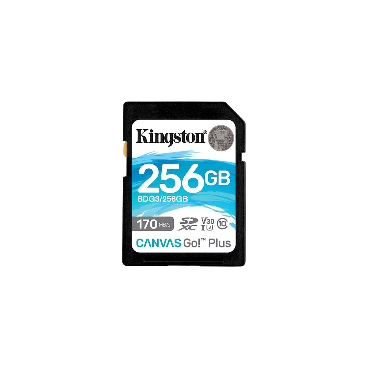 Kingston Canvas Go! Plus - Flash-Speicherkarte - 256 GB - SDXC UHS-I